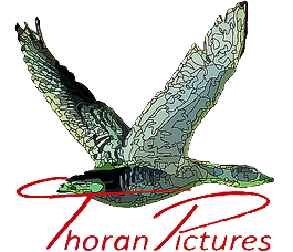 Thoran Pictures voor uw persoonlijke fotoshoot Logo